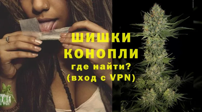 где можно купить наркотик  Реутов  Конопля SATIVA & INDICA 